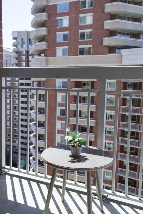 Bright Apartment Walk To Ballston Metro 阿林顿 外观 照片
